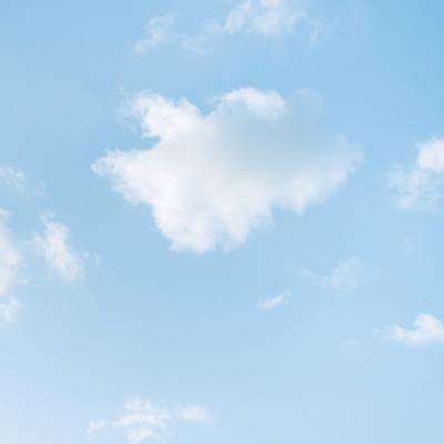 4949澳门免费资料大全下载手机版